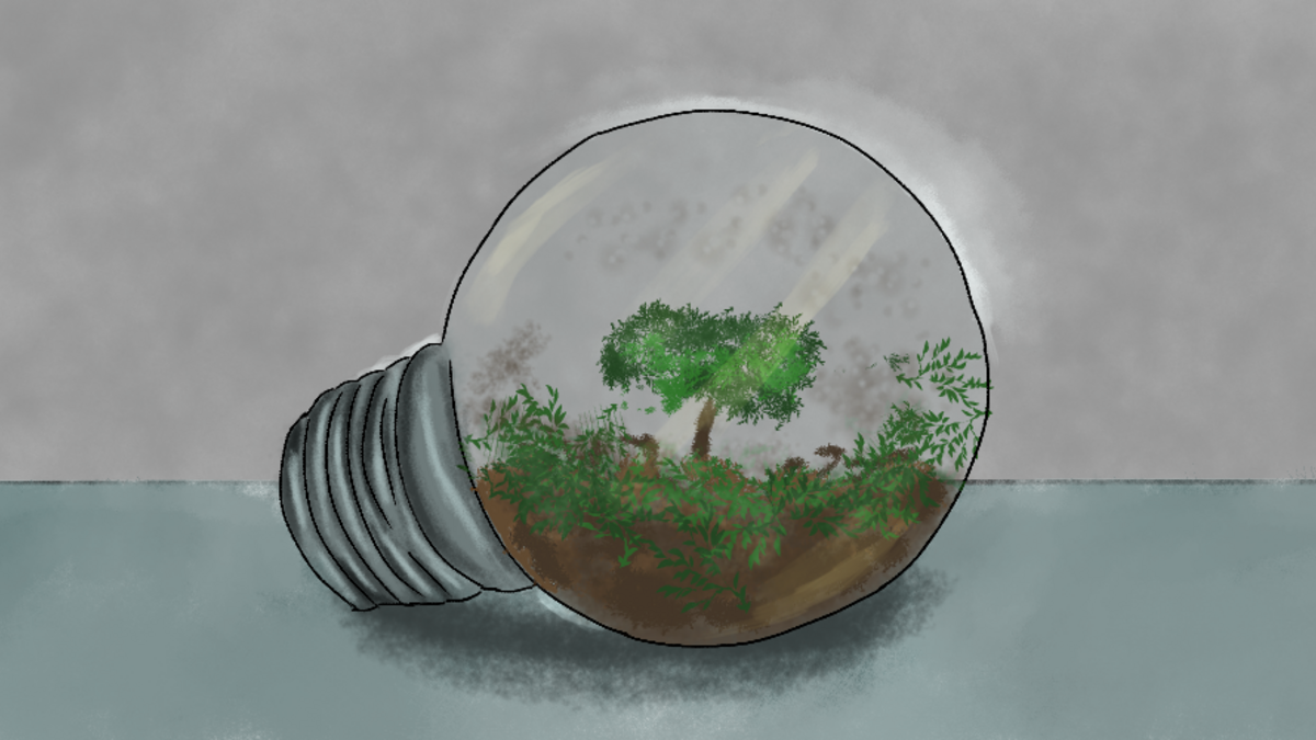 Illustration of a tree and ecosystem inside the bulb of a lightbulb