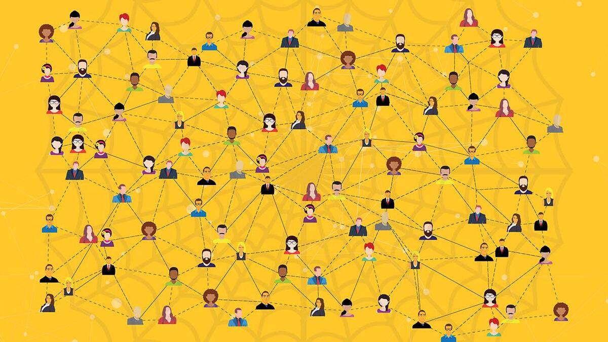 Diversity web